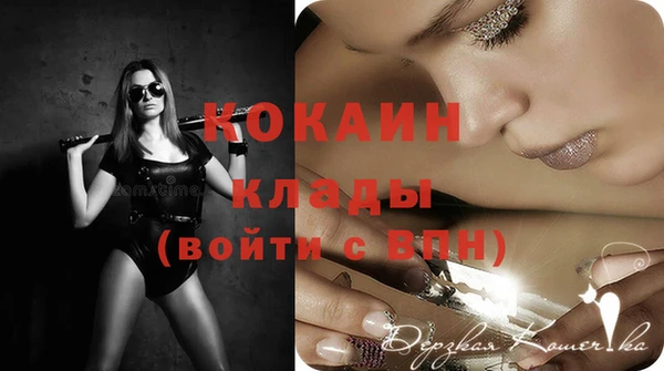 сатива Новодвинск
