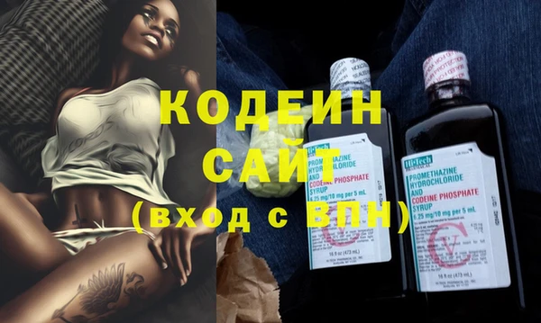сатива Новодвинск
