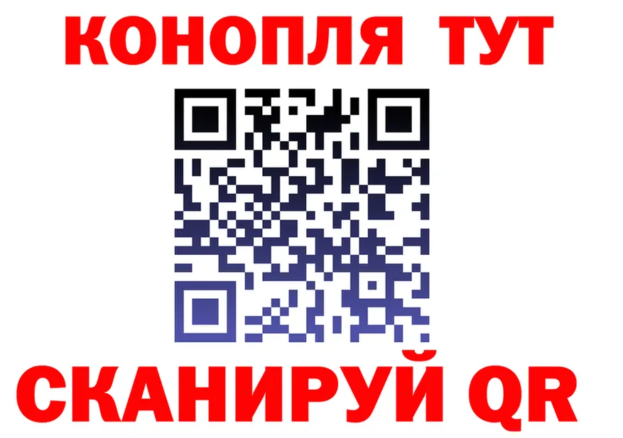 МЯУ-МЯУ 4 MMC ТОР площадка KRAKEN Печоры